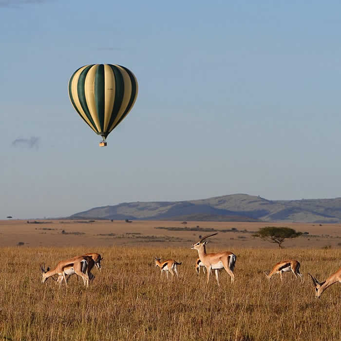 masai marai national reserve 4